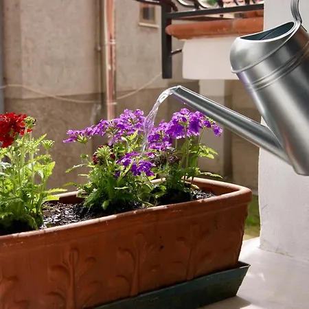 Un Coccodrillo A Frassino Отель типа 