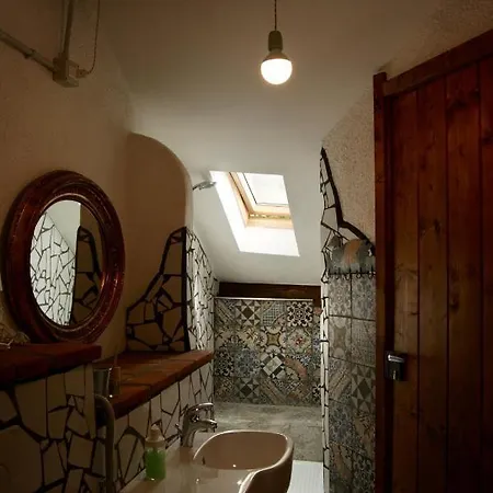 Un Coccodrillo A Frassino