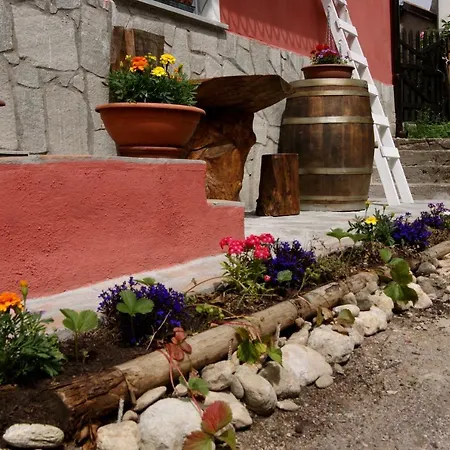 Un Coccodrillo A Frassino